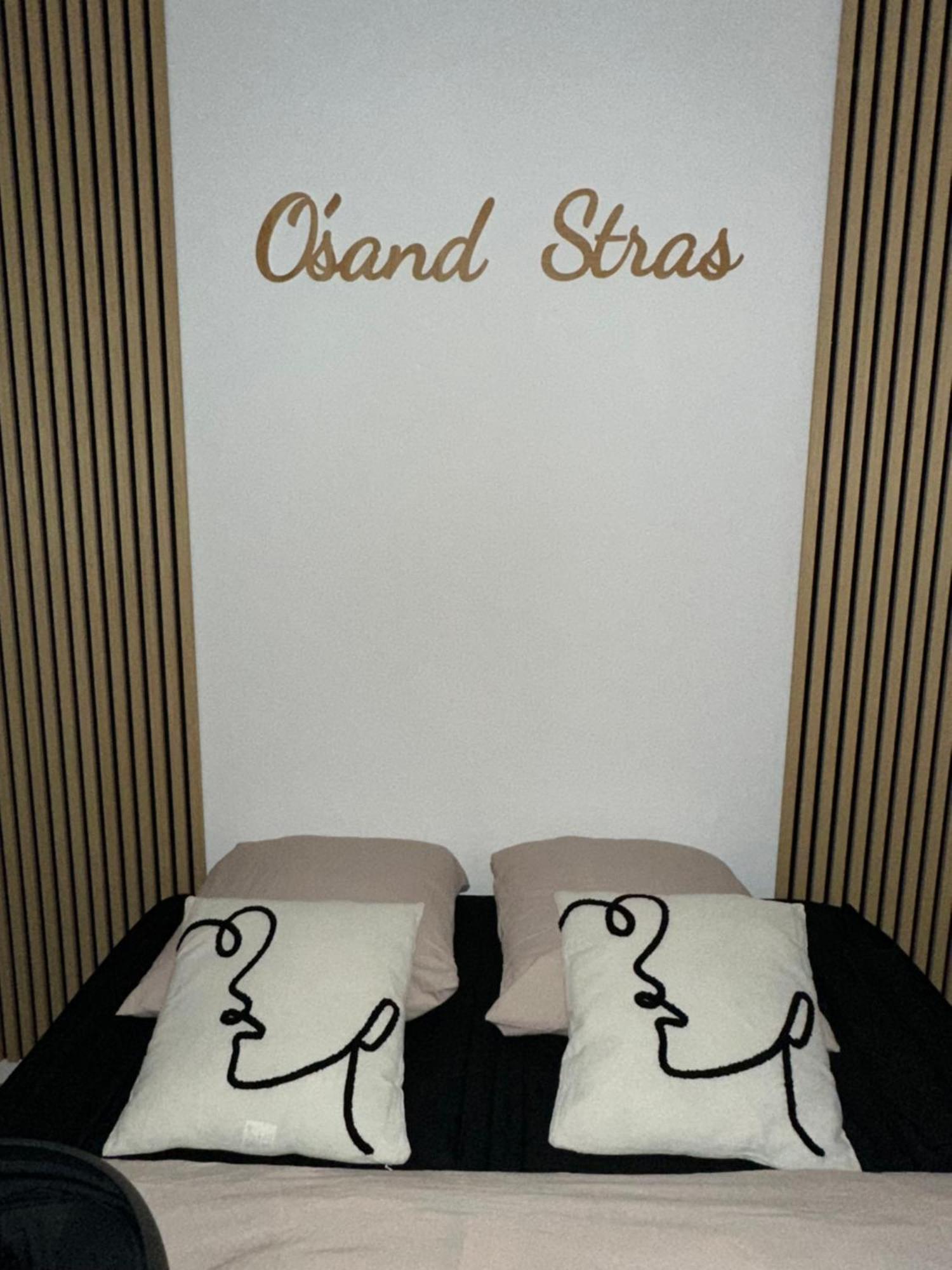 O Sand Stras Studio 25M Carre Στρασβούργο Εξωτερικό φωτογραφία